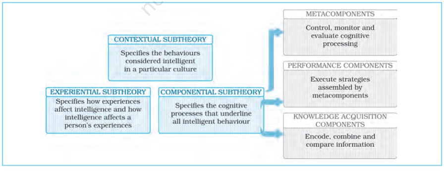 case study definition psychology class 12